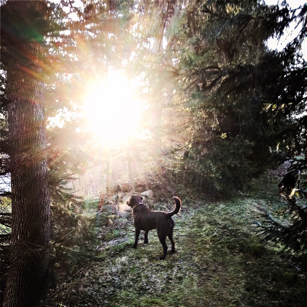 Meet your Posher, Teresa